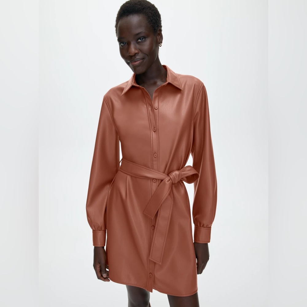 Aritzia Wilfred Caroline Dress